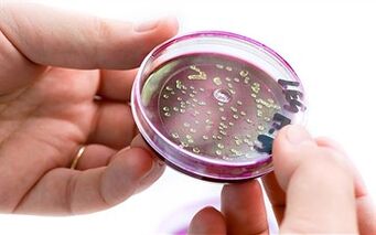 Bacteria in prostate secretions